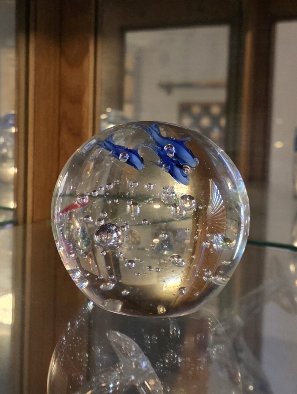 Dolphins In Glass Dome